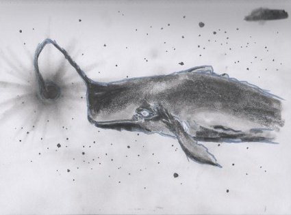 star whale sketch