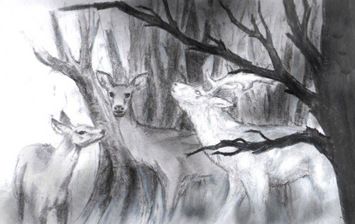 White Stag in the Woods
